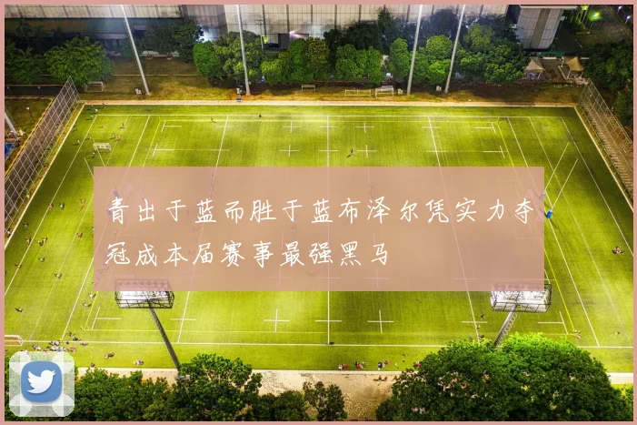 青出于蓝而胜于蓝布泽尔凭实力夺冠成本届赛事最强黑马