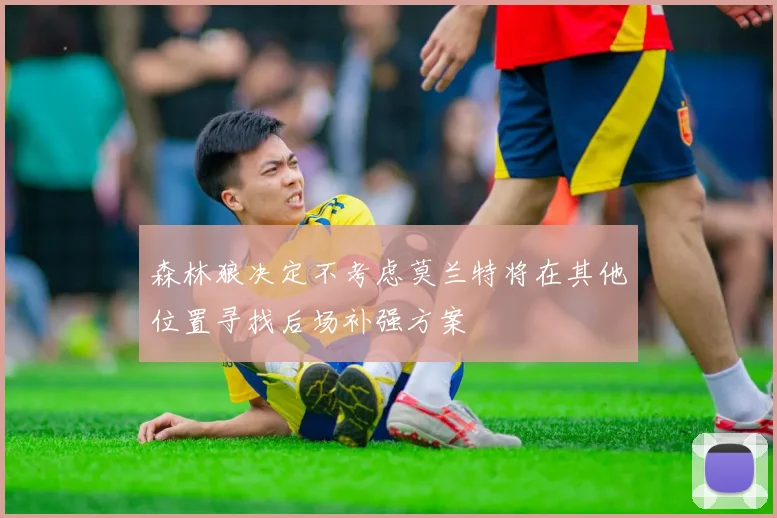 森林狼决定不考虑莫兰特将在其他位置寻找后场补强方案